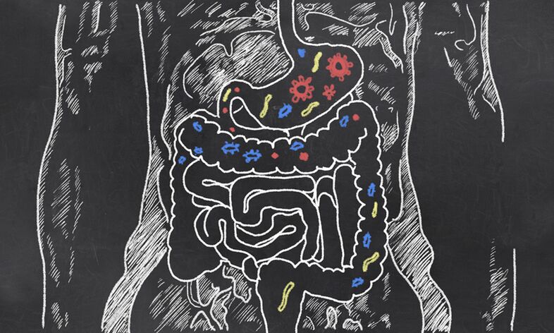 Parásitos en el tracto gastrointestinal de una persona