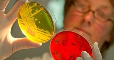 diagnóstico de parásitos en el cuerpo